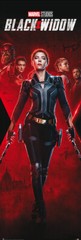 Black Widow – Marvel Door Movie Poster (Unfinished Business) (Size: 21″ x 62″)