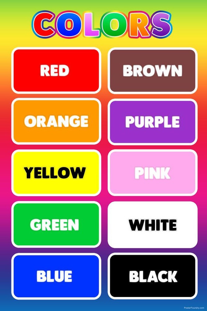 Colors Toddler Kids Education Educational Nursery Art Print Poster 16×24
