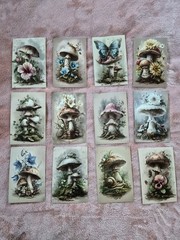 Mushroom Toadstool Cardstock Prints 34 Cards