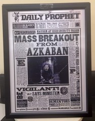 Harry Potter-Daily Prophet4-3D Lenticular Flip Effect- 3 Images Changes,3 In One
