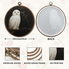 Vintage Black and White Owl Round Wall Art Decor, Dark Academia Gothic Owl Fr…