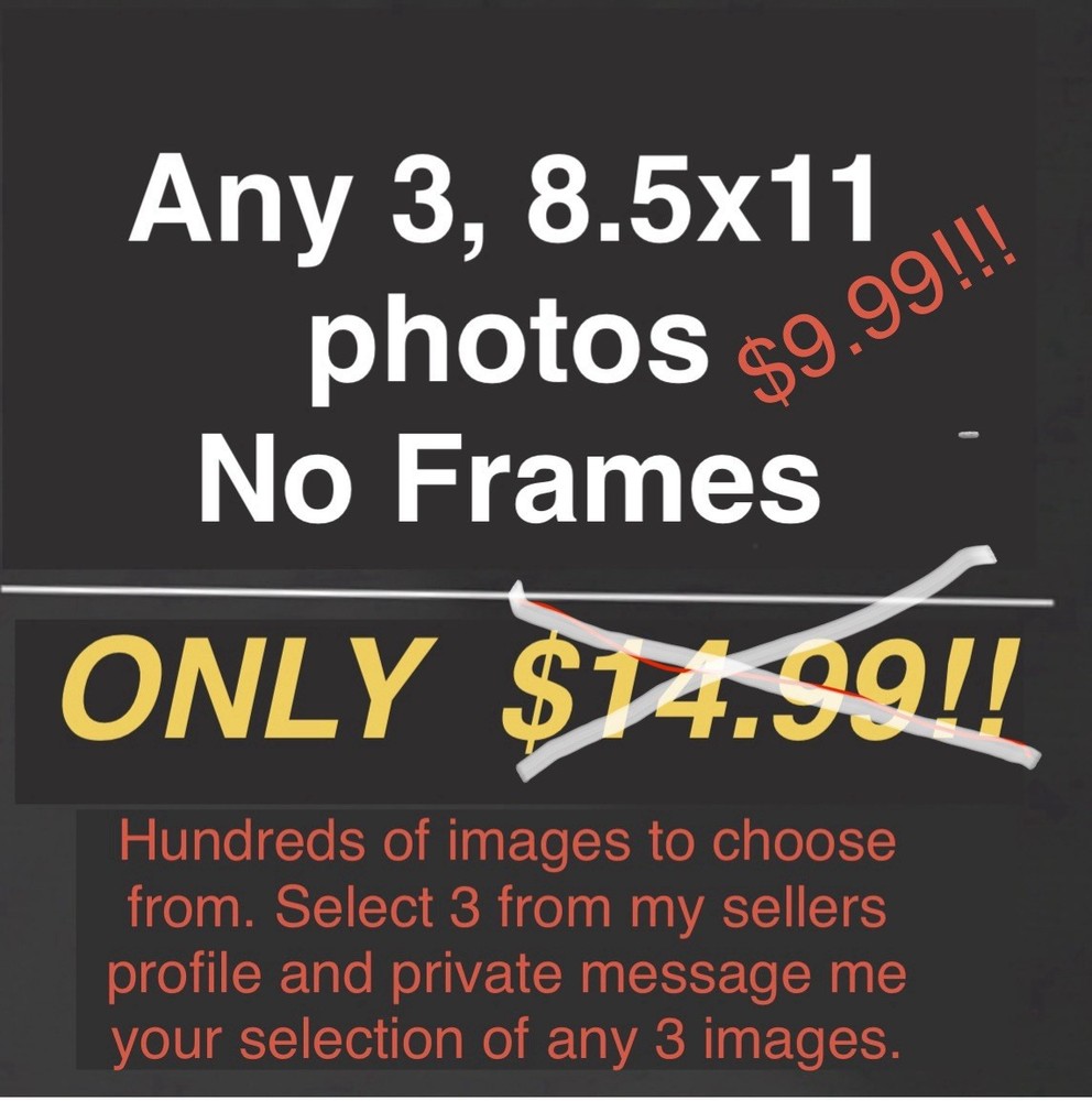 Set Of Three 8.5×11 Photos (NO FRAMES) Select Any 3 Photos From My SellerProfile