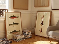 Retro Fishing Art Prints, Lake House Wall Decor Set of 3, Cabin Artwork