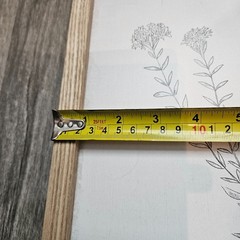 Pimelea Intermedia Framed Botanical Print Natural Wood Minimalist Wall Art 10×12