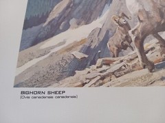Vintage…Lot 3 .Original ..Gallery «Kuhn» Animal Art Prints Office..Cabin..Farm
