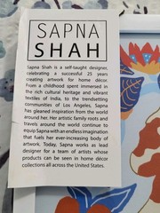 NEW SAPNA SHAH Chinoiserie Pekingese Dogs & Vase Print Framed Blue Orange 18×12”