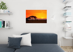 Serengeti Sunrise Panorama Photo Art Print Poster 24×36 inch