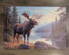 Moose Wall Art Picture 24″x16″ Canvas