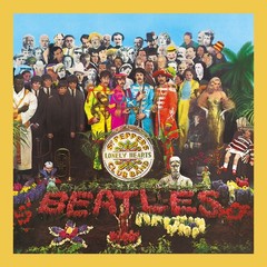 Beatles Sgt. Pepper Lonely Poster Print 12×12 Music Album Cover Wall Art Decor
