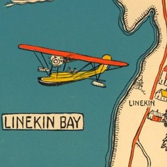 Color Pictorial Map of Maine Boothbay Harbor and vicinity Old Dirigo circa 1931