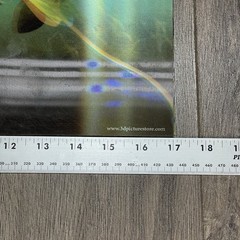 3D Art Wildlife Hologram Lenticular Poster Fish Pike Musky Place Mat 17”x11”