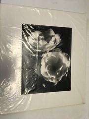 Black And White Flowers Art Print (vintage)