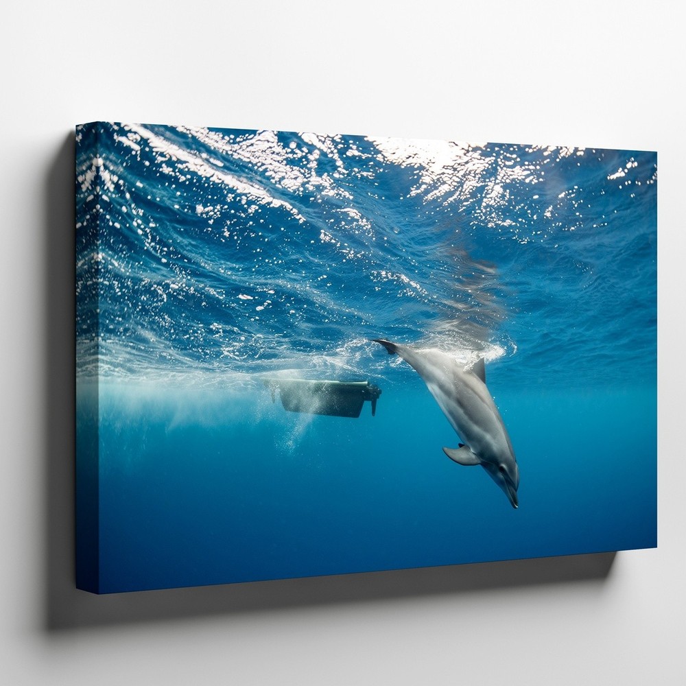 Playful Dolphin Gracefully Swims Underwater, Captured In A Dynamic Wall Art