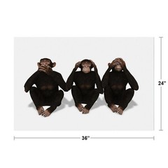 Three Monkeys Speak See and Hear No Evil Conceptual Art Print Poster 36×24