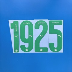 2025 26 Palmeiras Name Number Personalise Customise Player Size Nameset Print