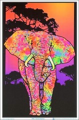 Painted Elephant Blacklight Poster 23 x 35