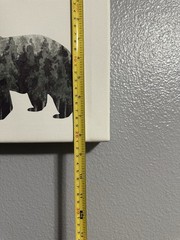 Canvas Animal Prints Wall Art Decor Set 4 Black and White Bear Wolf Moose Deer