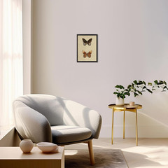 Vintage Butterfly Wall Art, Retro Butterfly Illustration Canvas Print, Neutral V