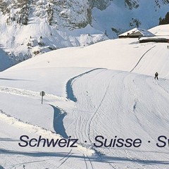 Switzerland – Berner Oberland – 1987 Retro Travel Poster
