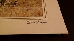Leopard Stalking Animal Photo Print 8×10 New Matted Wall Art HQ Gift Sealed