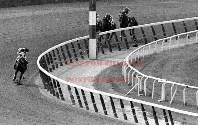 Triple Crown Horse Photo Poster: SECRETARIAT Poster 5 (20×30)