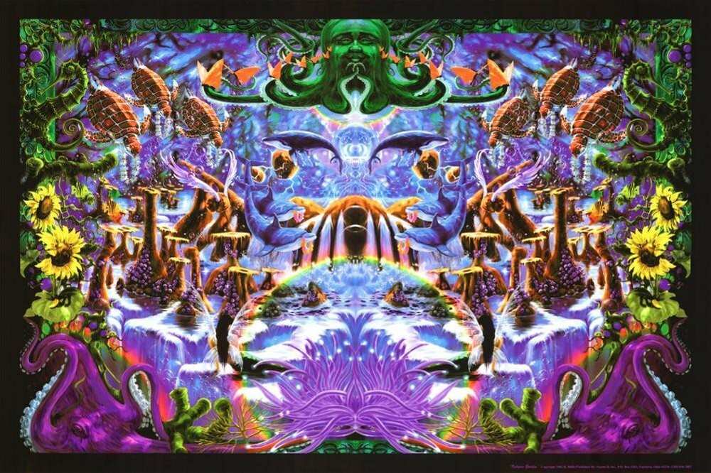 Octopus Garden Non-Flocked Blacklight Poster 24″ X 36″