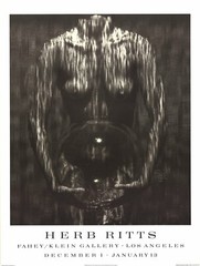 HERB RITTS Waterfall, Woman with Sphere (1984) 31.5″ x 24.75″ Poster 1995 Photog