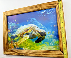 Framed Wall Art, 3D Ocean Dolphin and Sea Turtle 15.75 in X 11.75 in Wood Frame