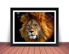 LION Photo Picture AFRICA SAVANNA KING 8×10 11×14 16×20 w/Framed Option (W8)