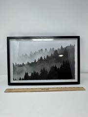Black And White Forrest/Mountain Picture In Frame Nature Woods Marmont