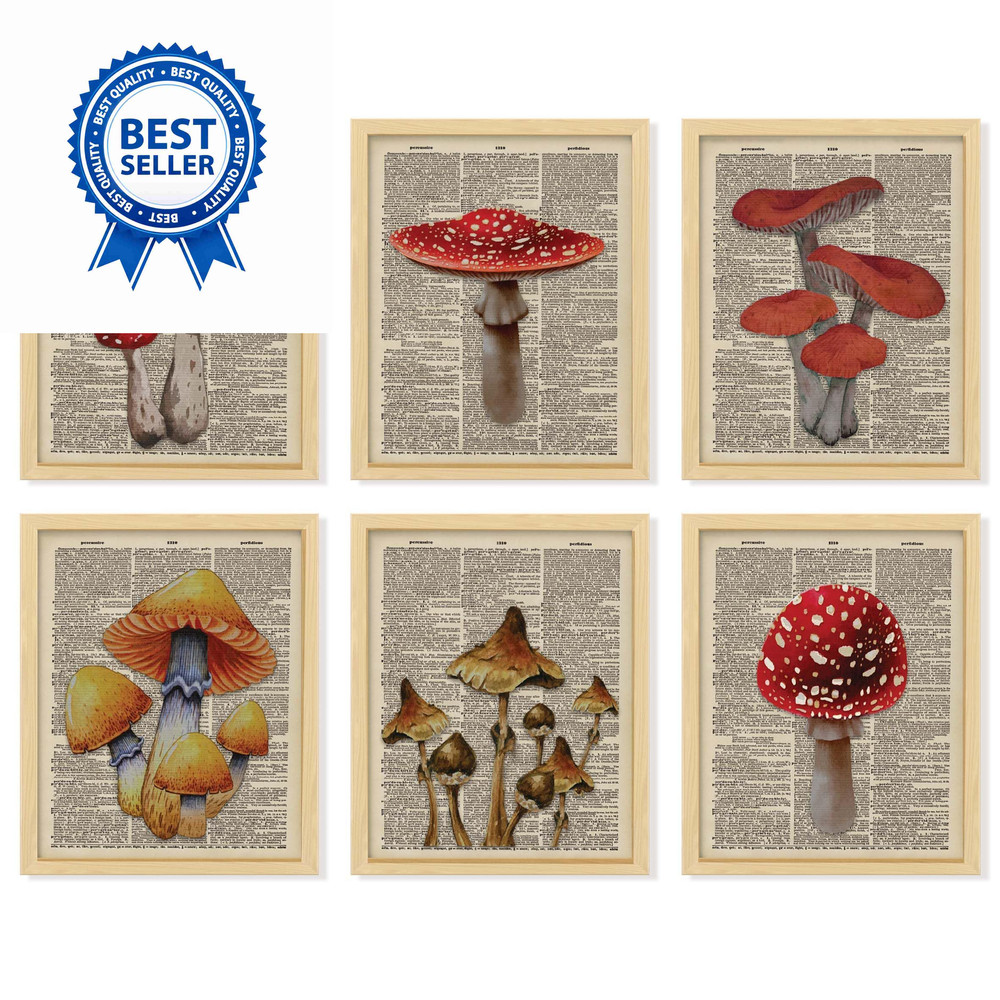 97 Decor Vintage Mushroom Poster – 8×10 Inches,