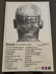 Chris Brown Music Star – Breezy 12×18 Inch Canvas Poster / New ✨