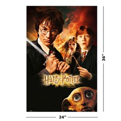 Harry Potter – 8 Piece Movie Poster Set (Regular Styles – Version 3) (24″ x 36″)