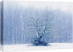 32″x48″ – Canvas Print Wall Art – Winter Snow Covered Forest Art Decor