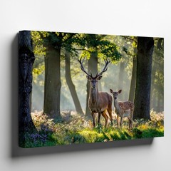 Wall Art In A Tranquil, Sun-drenched Forest, A Majestic Adult Deer With A Rich