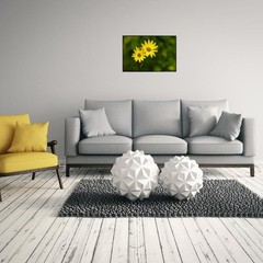 Yellow Daisy Botanical Print – Vibrant Flower Wall Art for Living