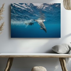 Playful Dolphin Gracefully Swims Underwater, Captured In A Dynamic Wall Art