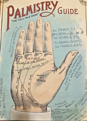 New Cavallini & Co. Palmistry Guide Poster, Archival Paper, Matte