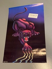 1989 ‘Electric’ Black Panther poster (unused) 22 1/2 x 34 inches