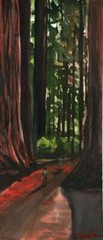 In the Redwoods Signed LE Art Print : Sandra Watercolors™ California