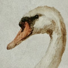 Vintage-Style Watercolor Art Print White Mute Swan 🦢 Framed Metallic Silver