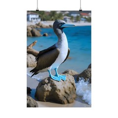 Blue-Footed Booby Seabird Coastal Beach Wall Art Print Matte Vertical Poster