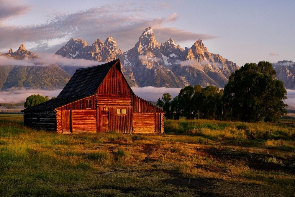 Laminated Daybreak at the Barn Jackson Hole Wyoming 18″L x 12″W, Multicolor