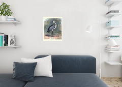 Grey Heron Marsh Vintage Illustration Bird Pictures Wall Decor Beautiful Art Wal