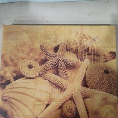 Greenbrier International Coastal Seashells Canvas Print Set Contemporary Art