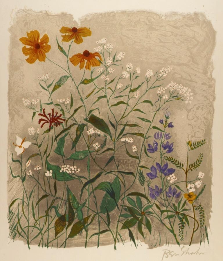 Flowers : Ben Shahn : 1944 : Archival Quality Art Print