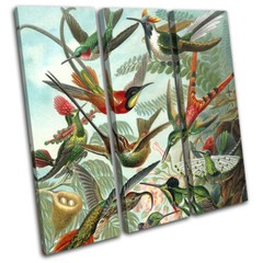Birds Floral Tropical Vintage Animals TREBLE CANVAS WALL ART Picture Print