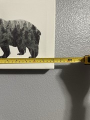 Canvas Animal Prints Wall Art Decor Set 4 Black and White Bear Wolf Moose Deer