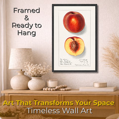 Vintage Peach Illustration Poster Framed 11×17 Botanical Fruit Wall Art Decor
