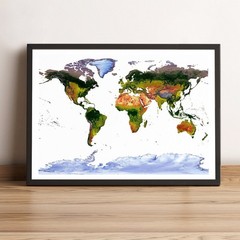 World Map, Gall Stereographic Projection World Map, Framed World Relief Map